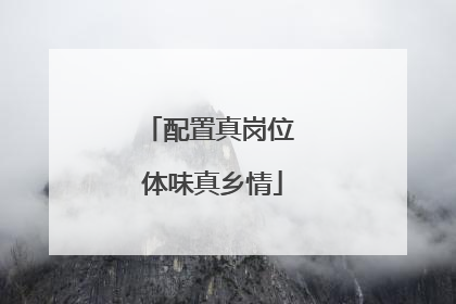 配置真岗位 体味真乡情